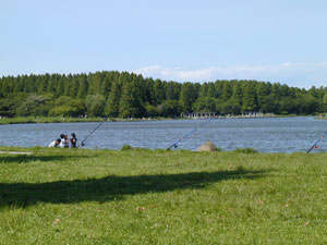 matoloke1_4.jpg